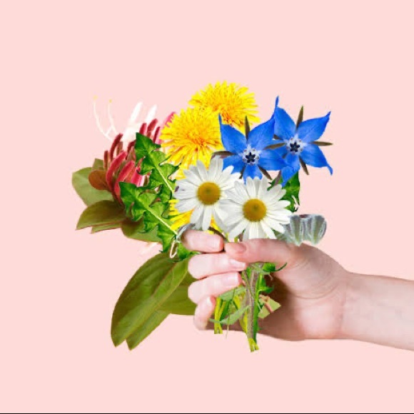 Meet your Posher, ZN - Picture 1 of 1